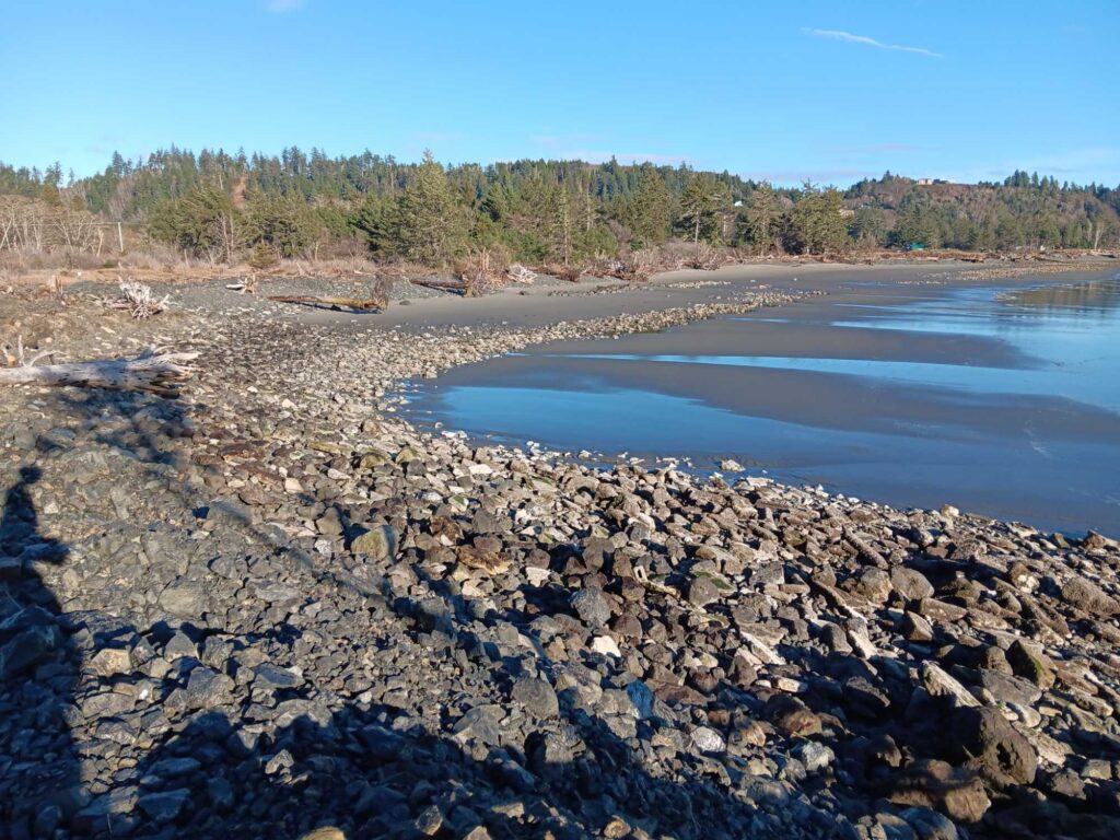 a rocky beach with a body of water in the background (MyCoast AI)