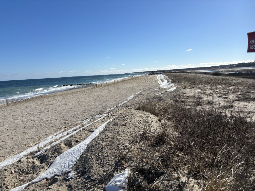 a beach with a stream of water (MyCoast AI)