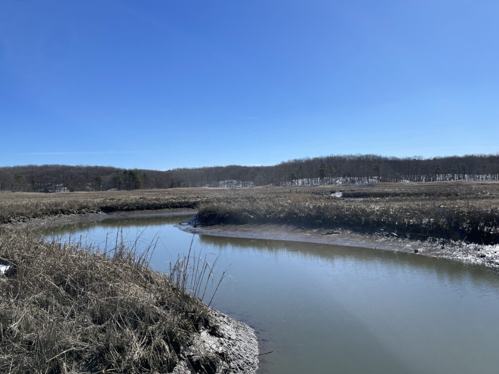 a body of water with snow and trees in the background (MyCoast AI)