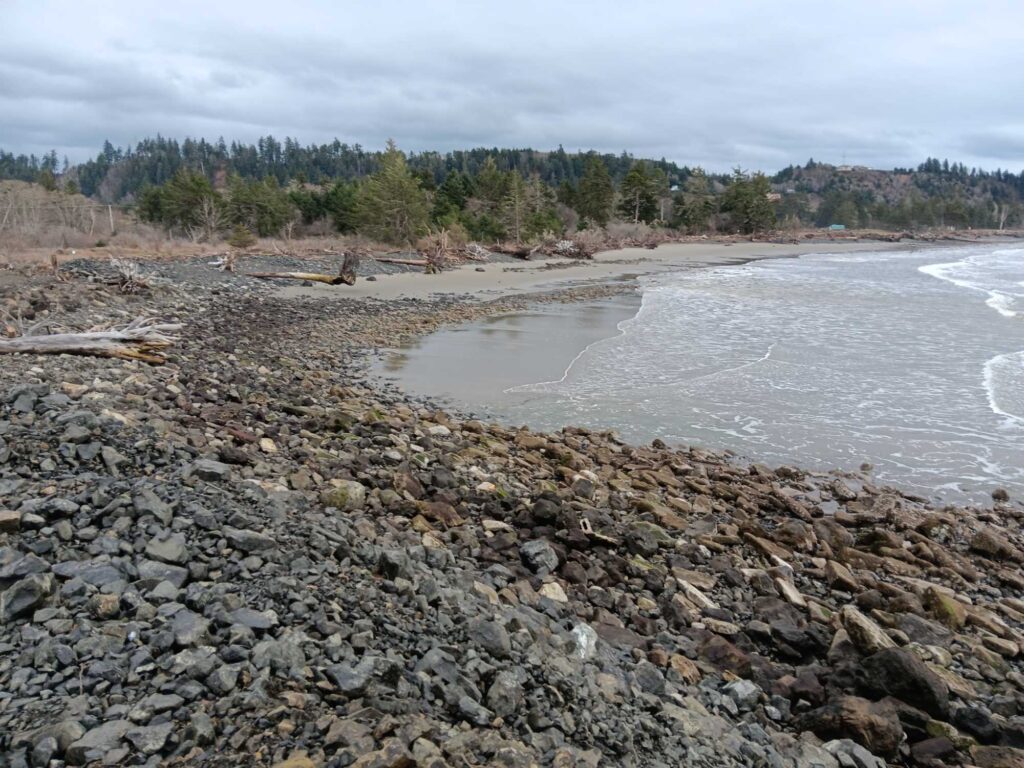 a rocky beach with trees in the background (MyCoast AI)