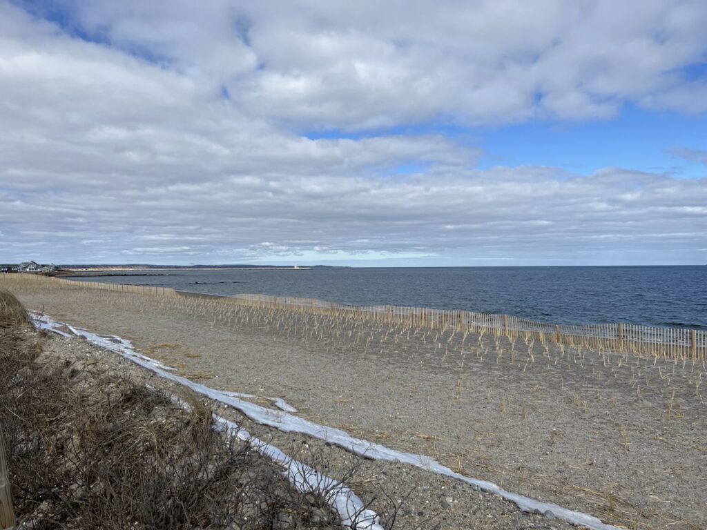 a beach with a fence and a body of water in the background (MyCoast AI)