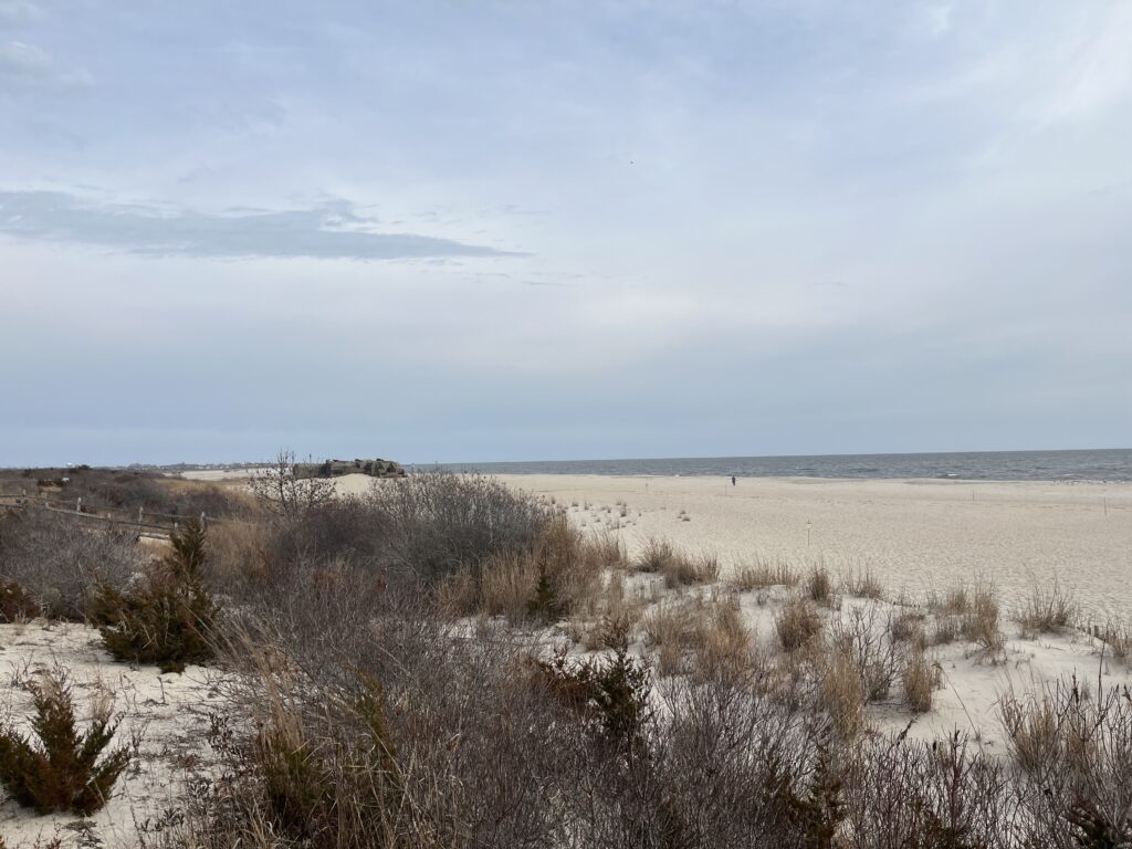 a field of dry grass (MyCoast AI)