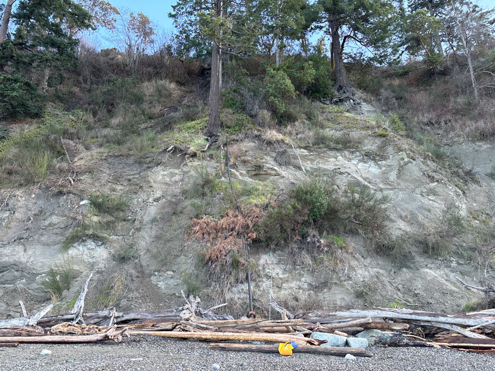 a hillside with trees and a pile of debris (MyCoast AI)