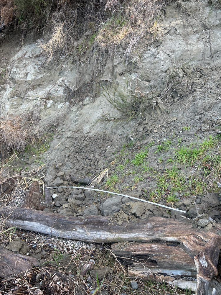 a rocky area with a stream running through it (MyCoast AI)