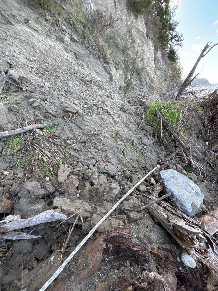 a rocky hillside with a rope (MyCoast AI)