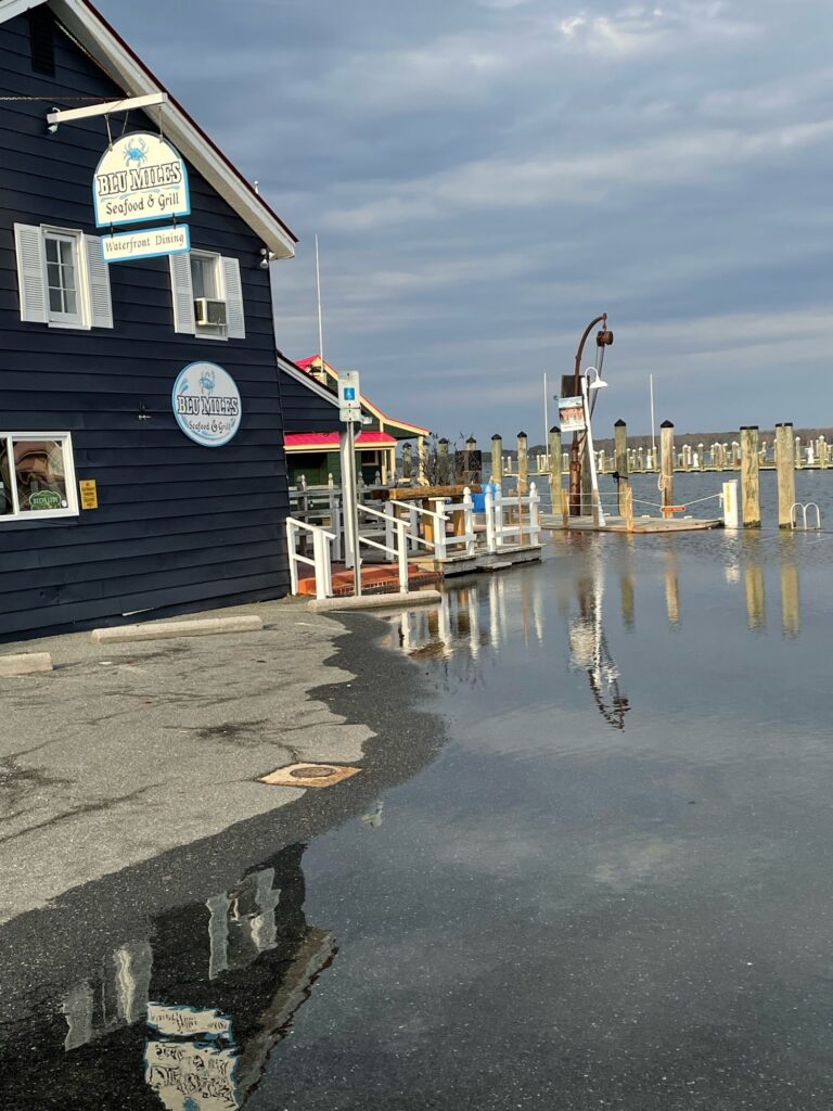 a dock with a building on it (MyCoast AI)