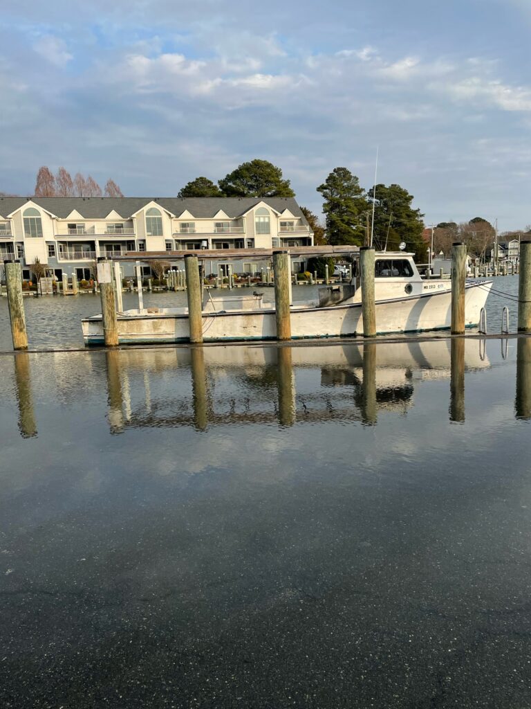 a dock with a van parked on it (MyCoast AI)