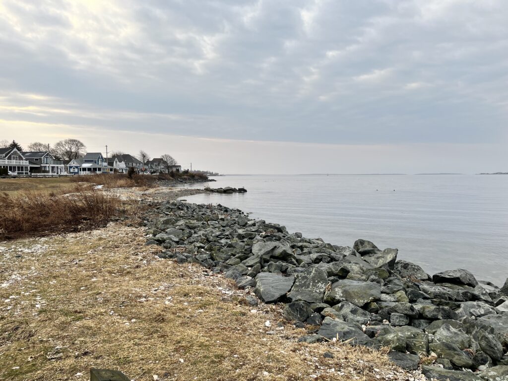 a rocky beach with houses and water in the background (MyCoast AI)