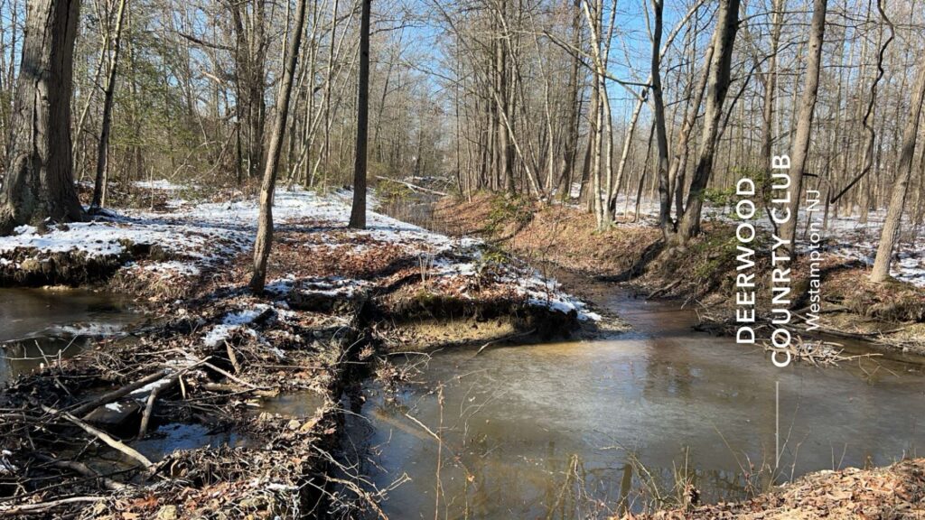 a stream with trees and snow (MyCoast AI)
