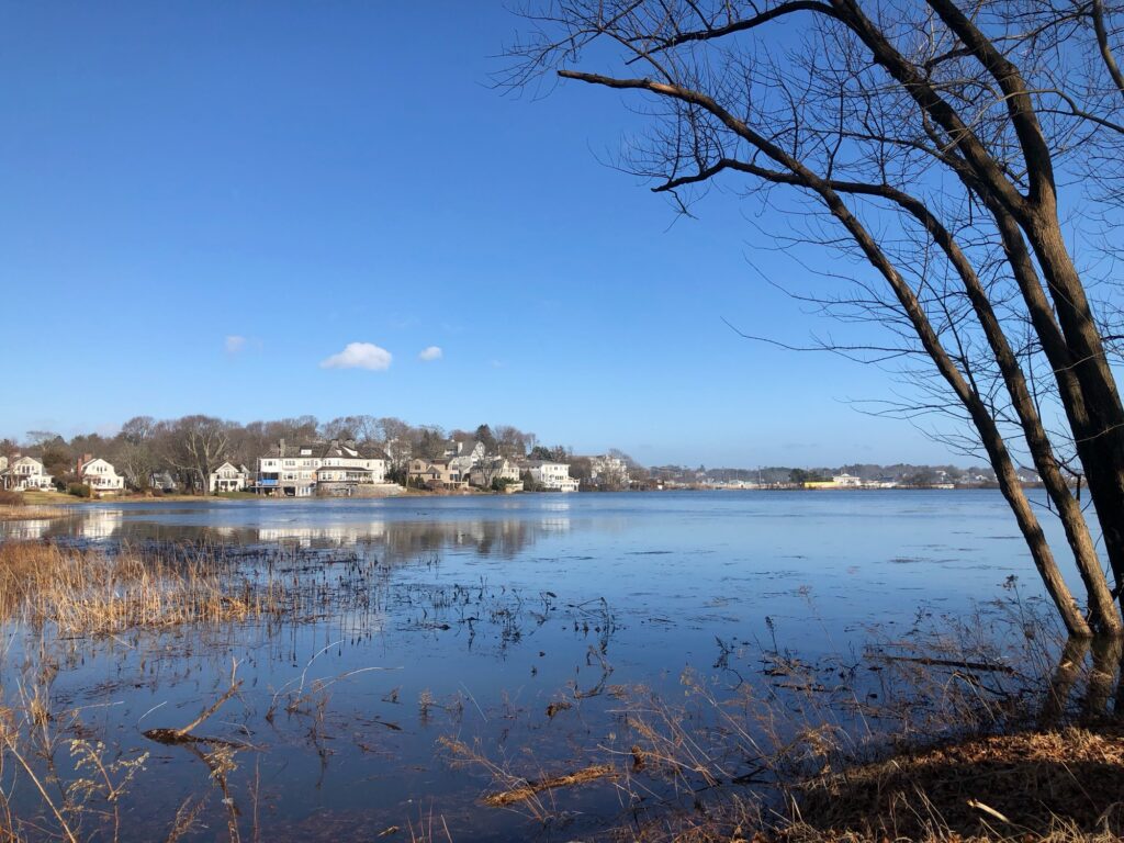 a body of water with buildings in the background (MyCoast AI)