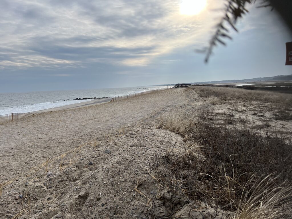 a sandy beach with a tree (MyCoast AI)