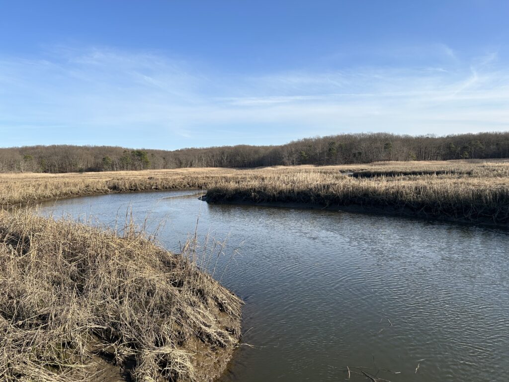 a body of water with grass and trees around it (MyCoast AI)