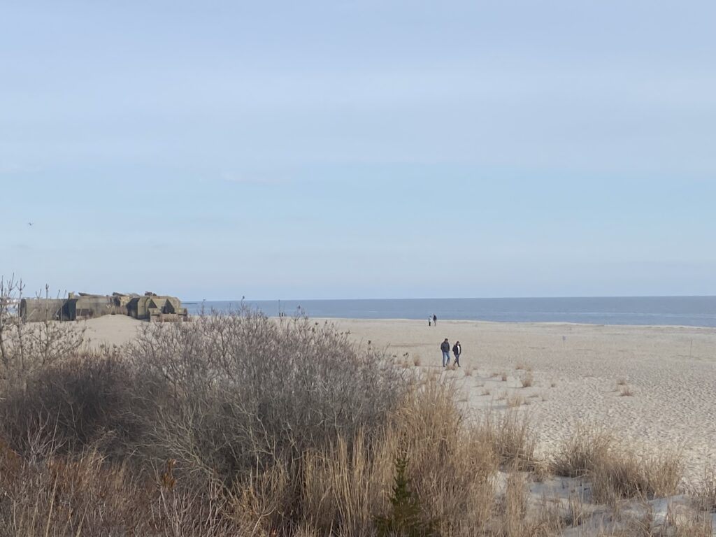 people walking on a beach (MyCoast AI)