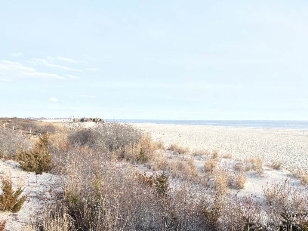 a field of dry grass (MyCoast AI)