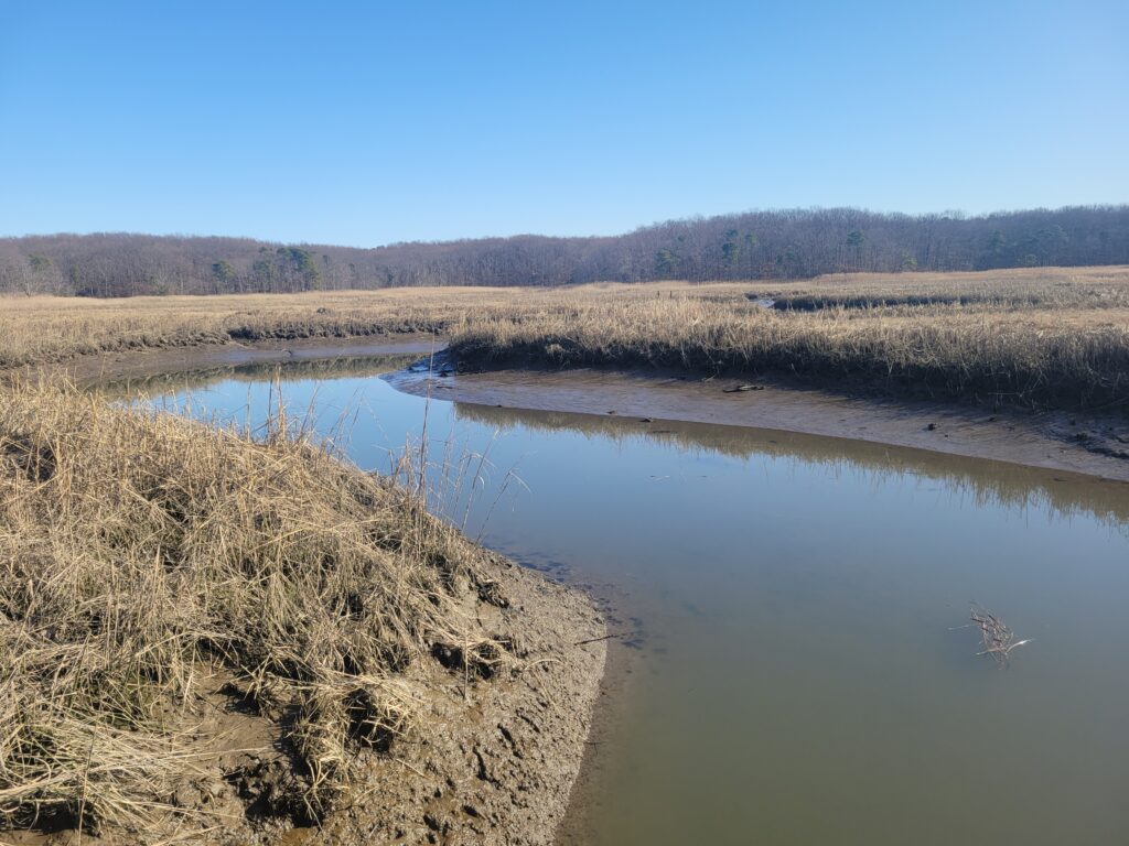 a body of water with grass and trees around it (MyCoast AI)