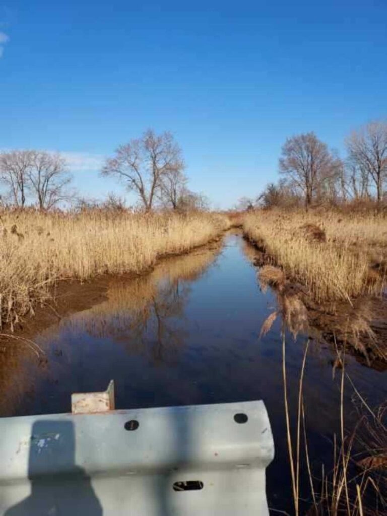 a pond with a white boat in it and tall grass on the side (MyCoast AI)