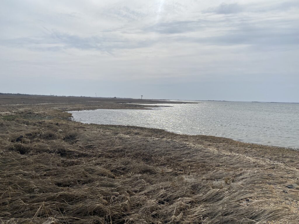 a beach with a body of water (MyCoast AI)