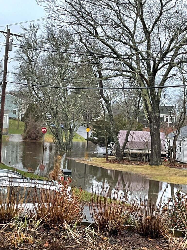a flooded street with houses and trees (MyCoast AI)