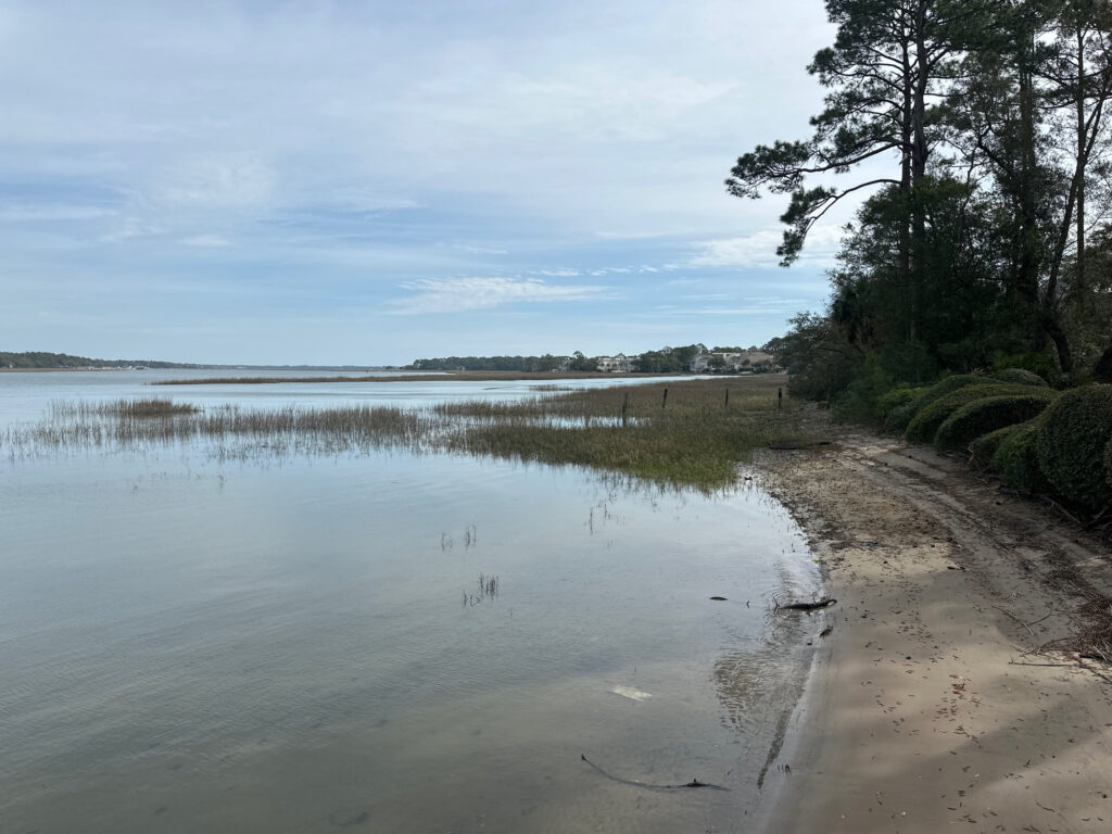 a river with a sandy beach and trees on the side (MyCoast AI)