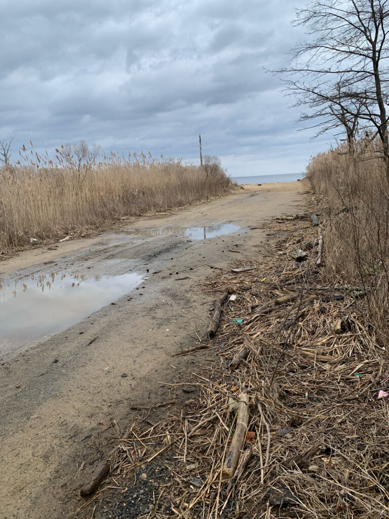 a muddy road with a puddle on the side (MyCoast AI)