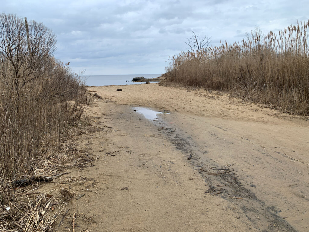 a sandy beach with bushes and trees (MyCoast AI)