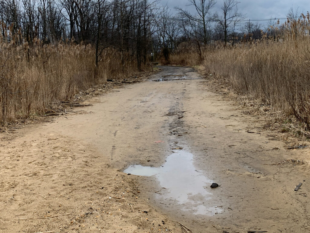 a muddy road with trees on either side of it (MyCoast AI)