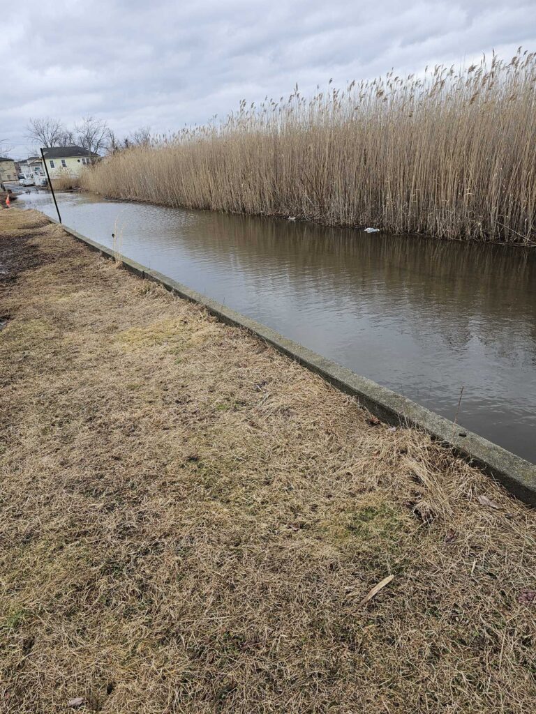 a river with brown grass and trees (MyCoast AI)