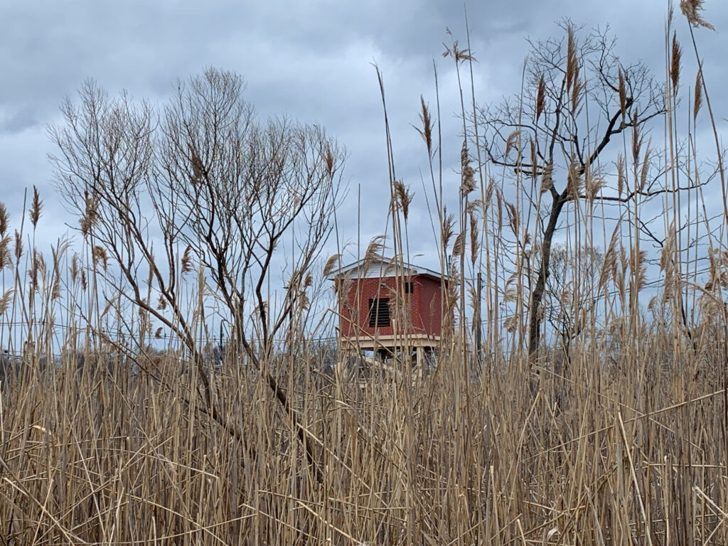 a red building in a field (MyCoast AI)