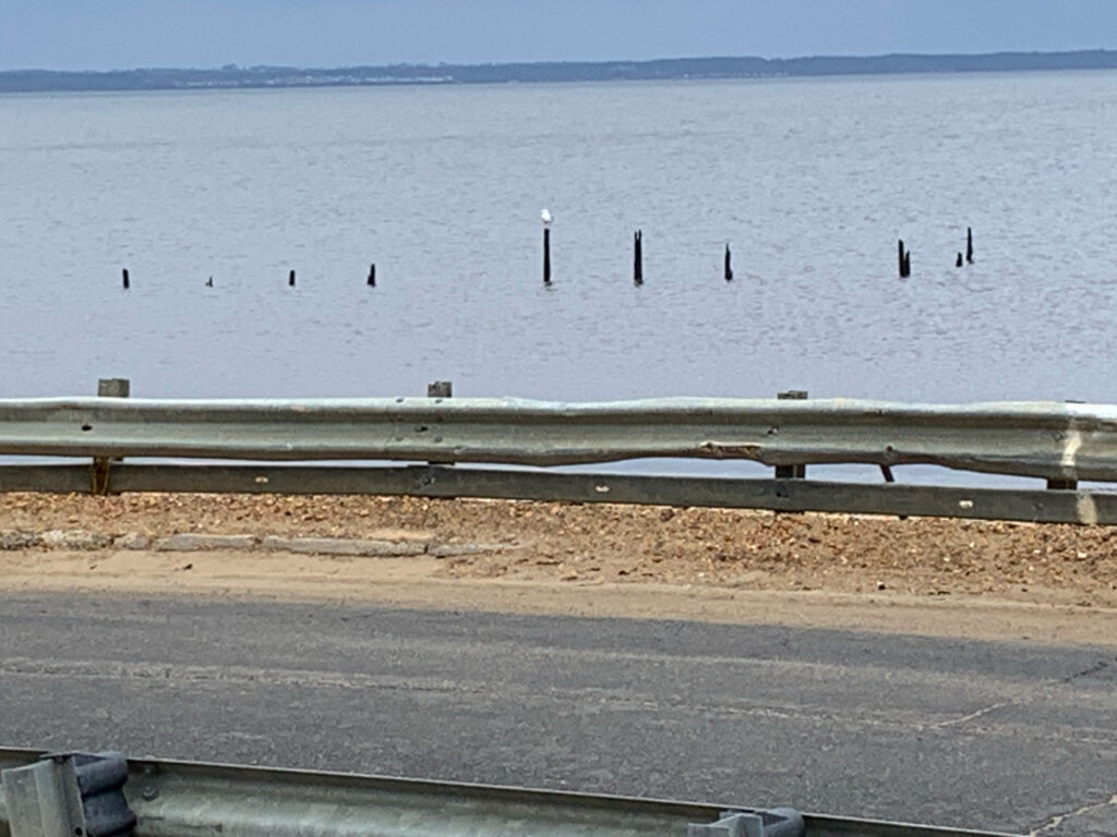a beach with a railing and a body of water in the background (MyCoast AI)