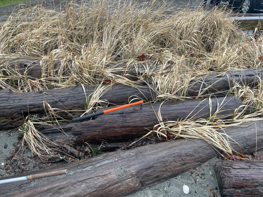 a pile of branches and sticks (MyCoast AI)