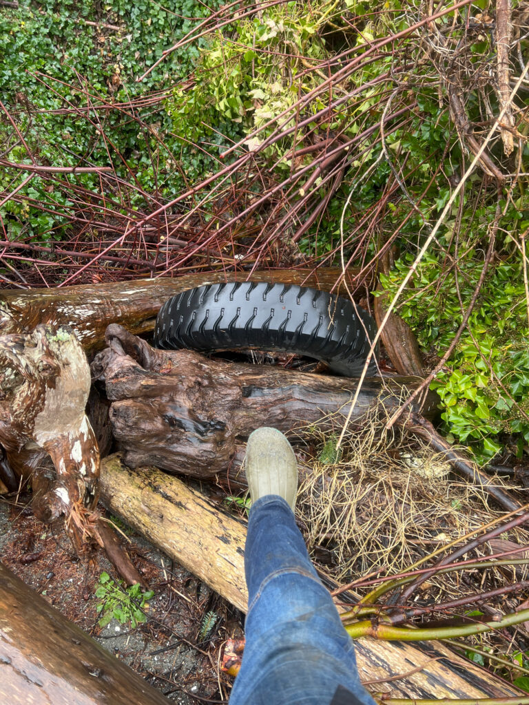 a shoe on a log (MyCoast AI)
