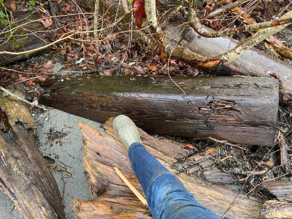 a person's leg on a log over a stream (MyCoast AI)