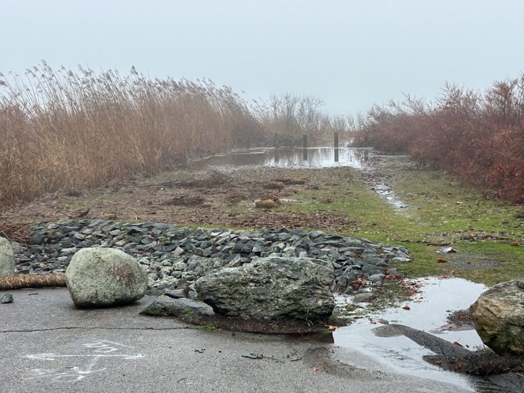 a stream with rocks and grass (MyCoast AI)