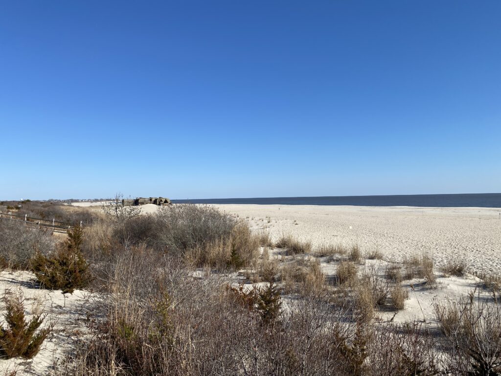 a field of dry grass (MyCoast AI)