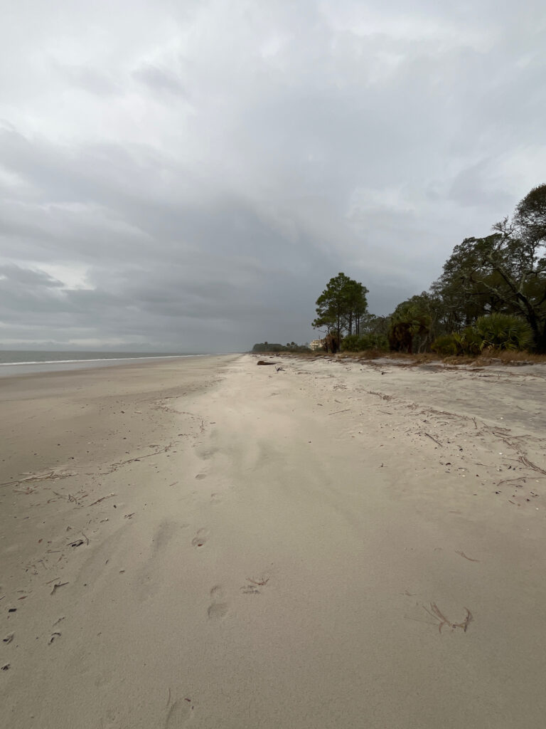 a sandy beach with trees on the side with Alappuzha Beach in the background (MyCoast AI)