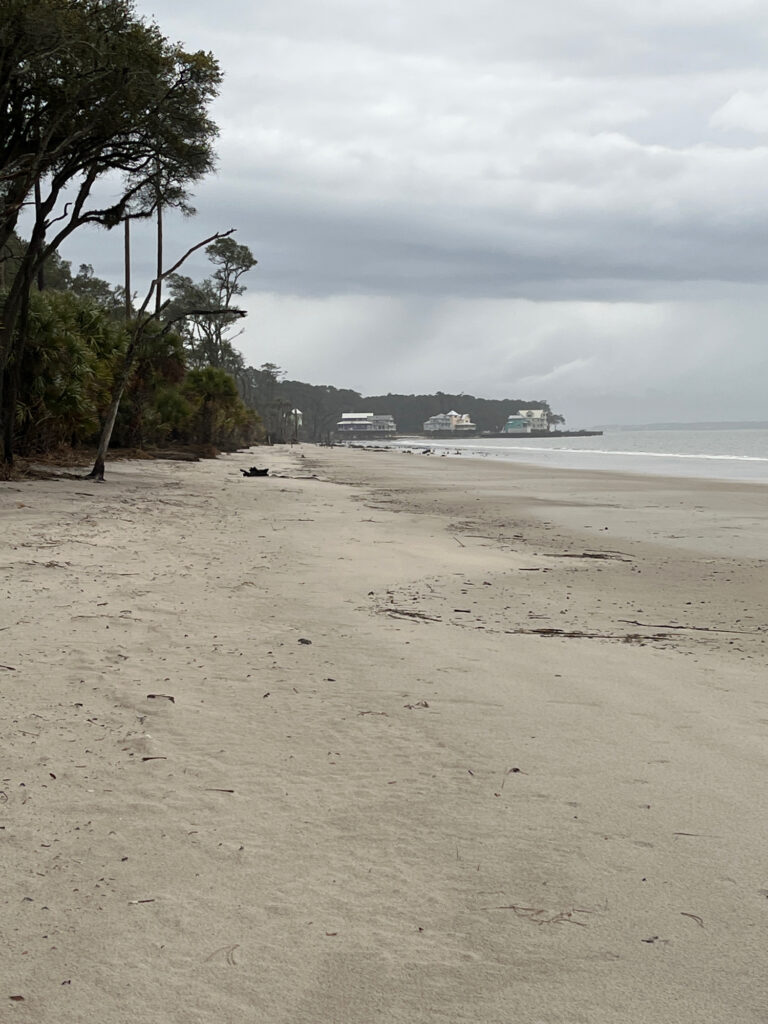 a beach with a building in the distance (MyCoast AI)