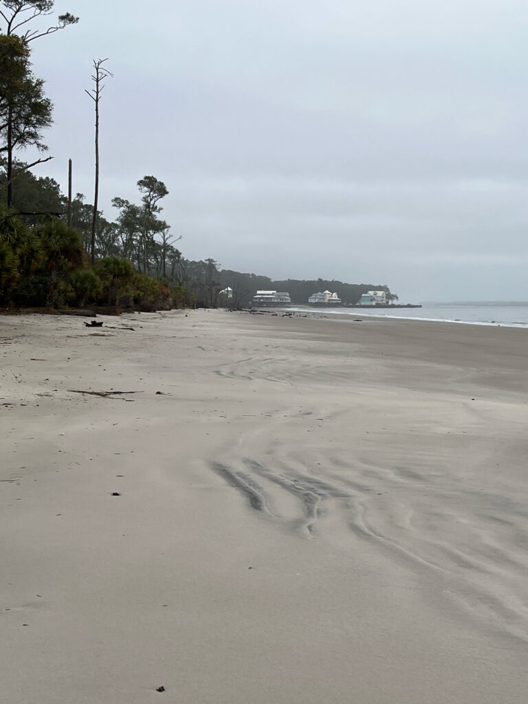 a sandy beach with houses in the background (MyCoast AI)