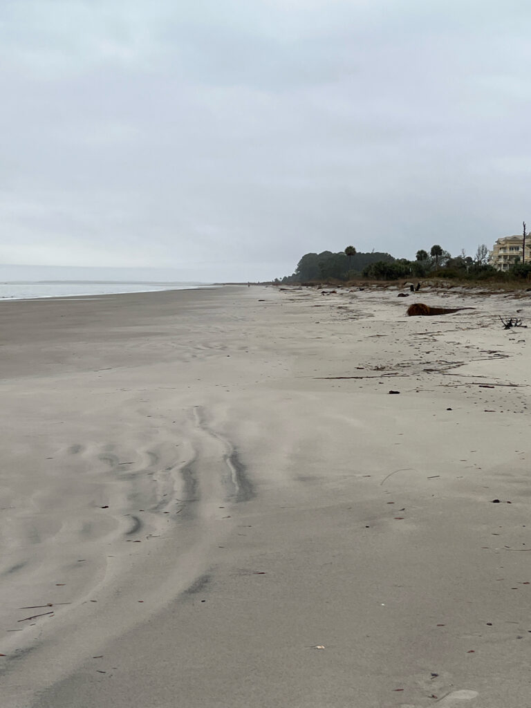 a beach with a few people (MyCoast AI)