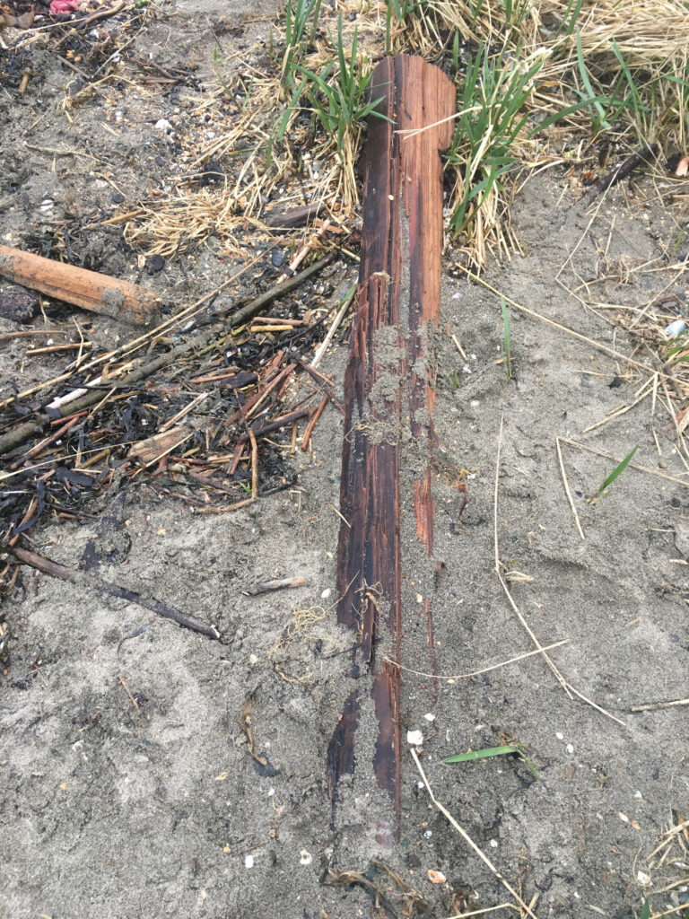 a wooden fence in the dirt (MyCoast AI)