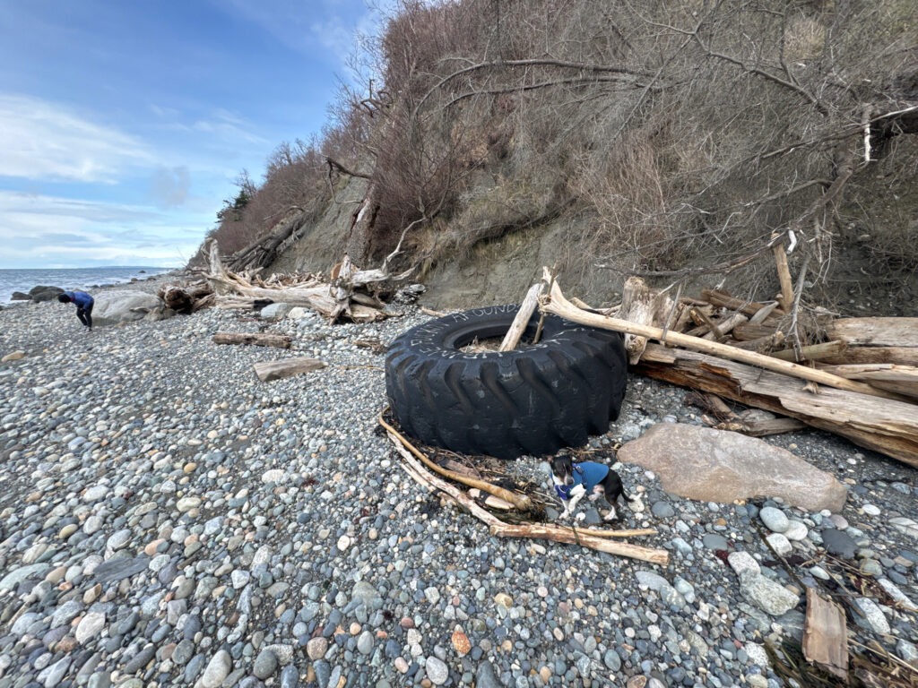 a tire on a rocky beach (MyCoast AI)