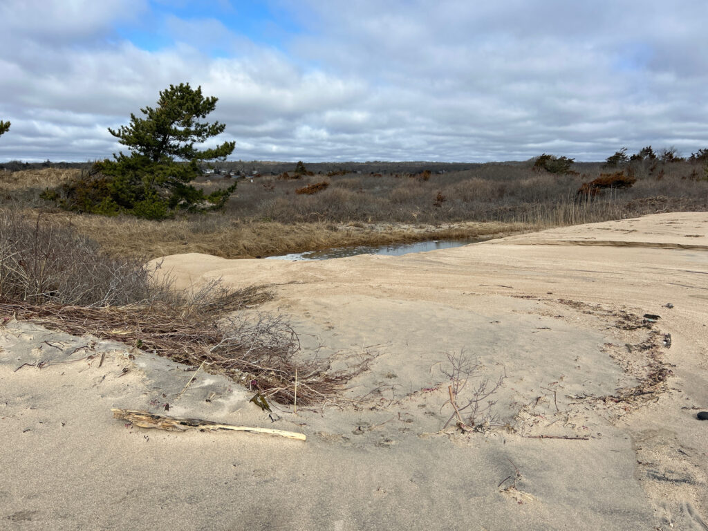 a small pond in a desert (MyCoast AI)