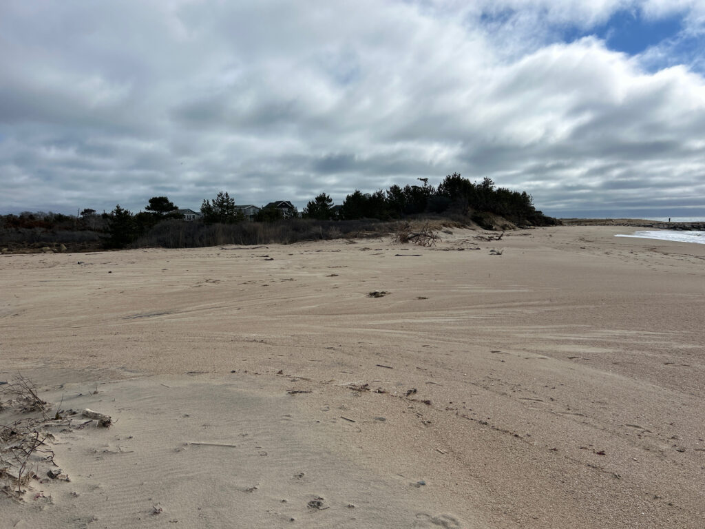 a sandy beach with trees in the background (MyCoast AI)