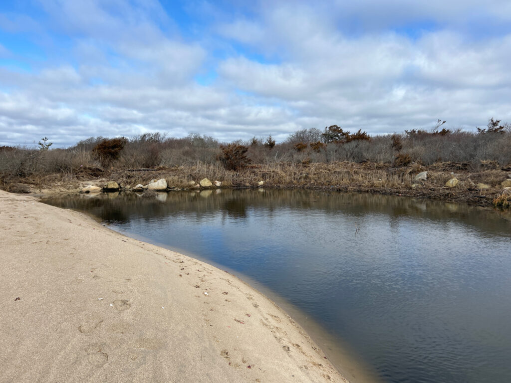 a body of water with trees and a beach in the background (MyCoast AI)