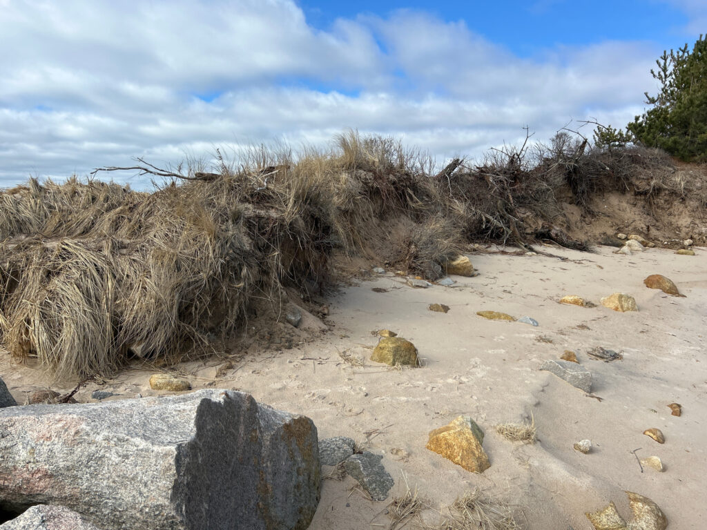 a rocky area with trees in the background (MyCoast AI)