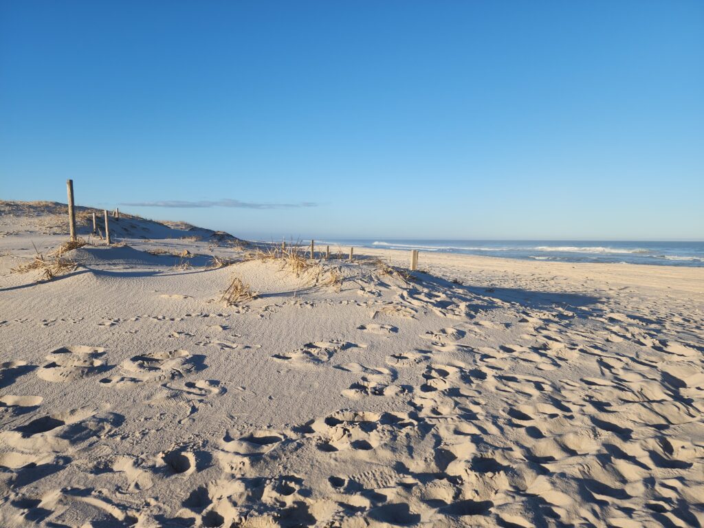 a sandy beach with a fence (MyCoast AI)