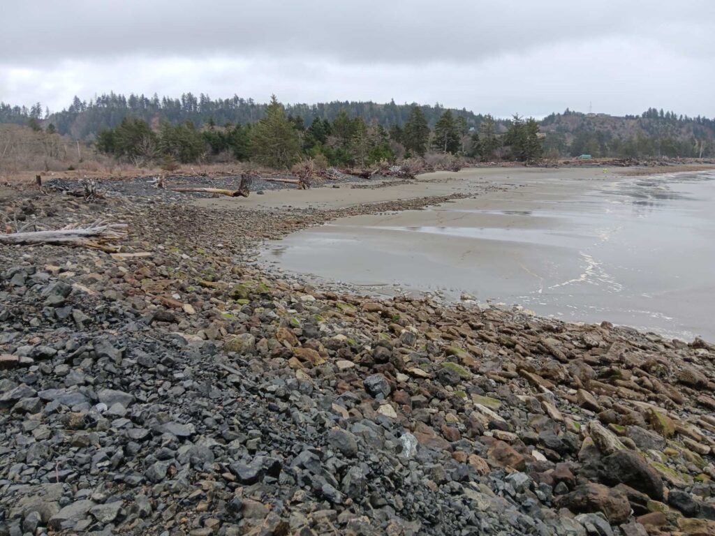 a rocky beach with trees in the background (MyCoast AI)