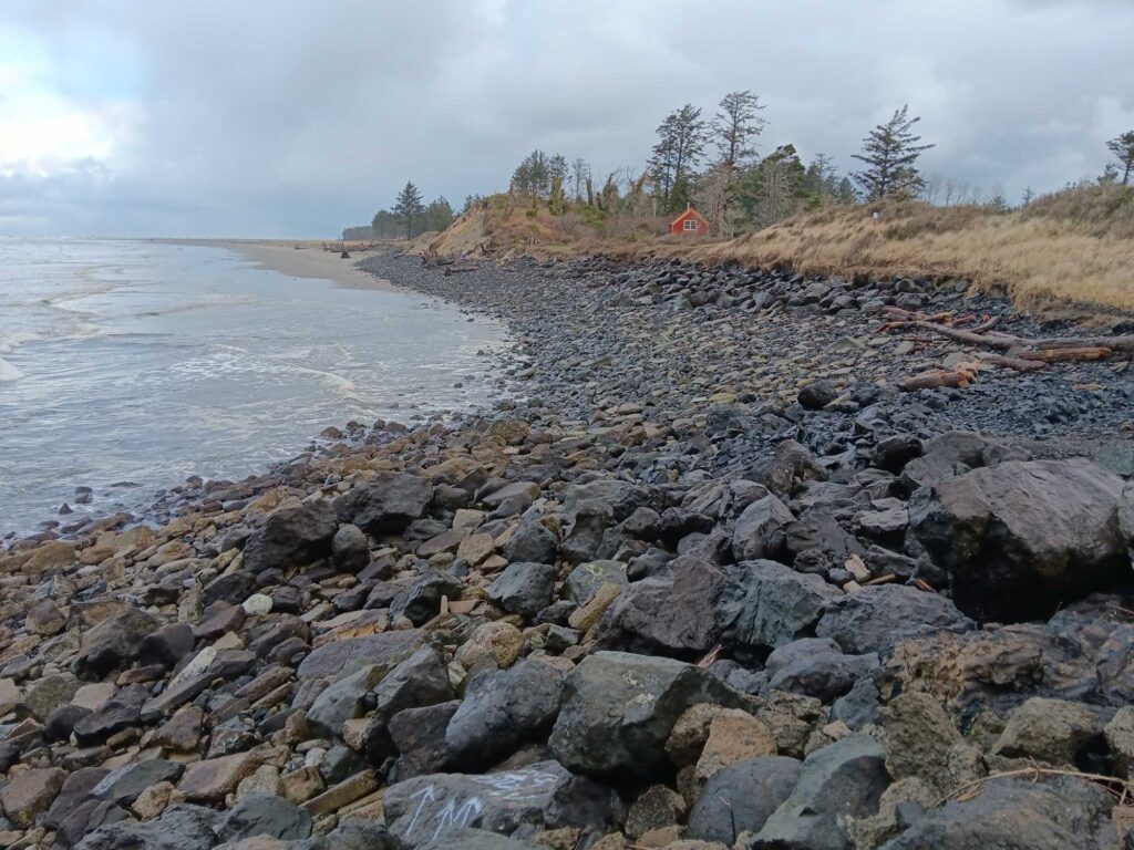 a rocky beach with trees and water (MyCoast AI)