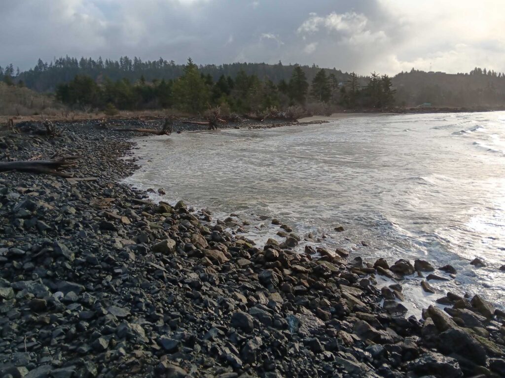 a rocky shore with trees in the background (MyCoast AI)