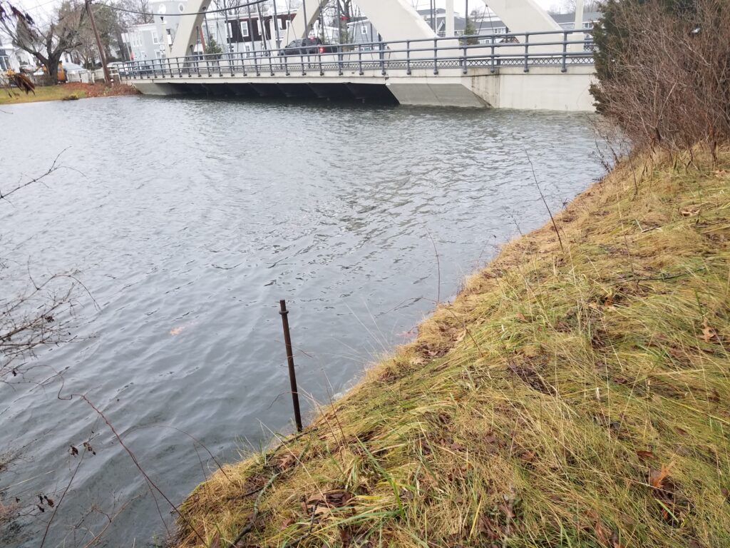 a body of water with grass and a bridge in the background (MyCoast AI)