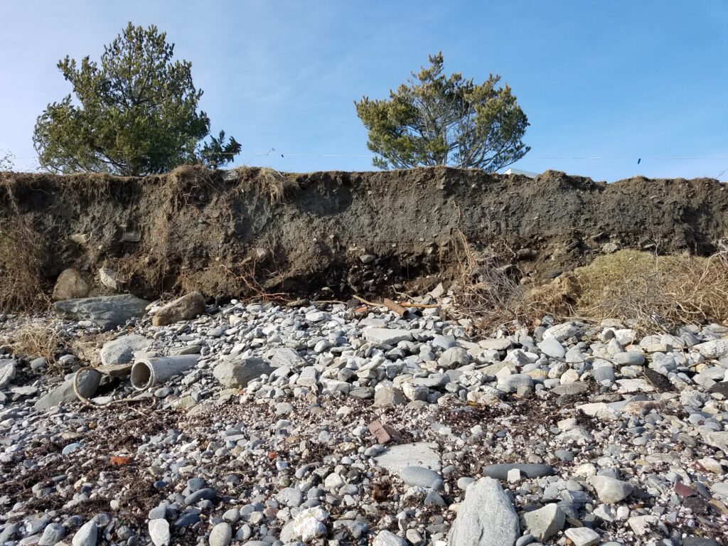 a rocky area with trees in the background (MyCoast AI)